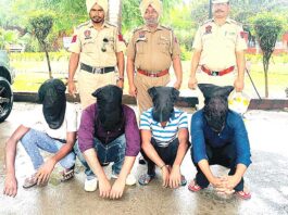 Faridkot News
