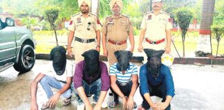 Faridkot News