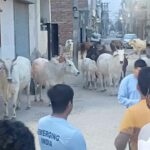 Fatehabad News