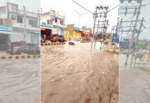 Fatehabad News