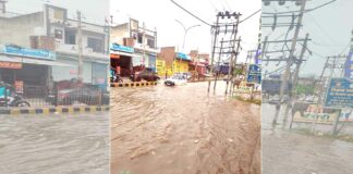 Fatehabad News