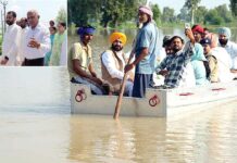 Fazilka News