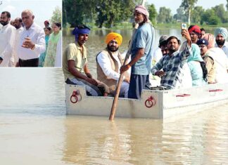 Fazilka News