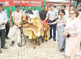 गौ माता को परिवार का हिस्सा समझकर चारा दान करें: महापौर Ghaziabad News