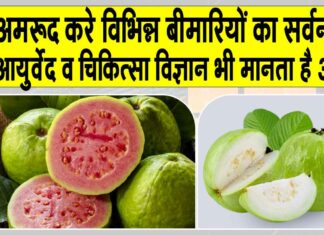 Guava health benefits