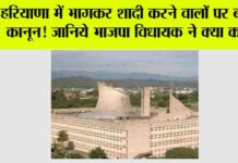 HARYANA NEWS: