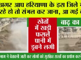 Haryana Flood