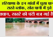 Haryana Flood News