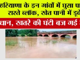 Haryana Flood News