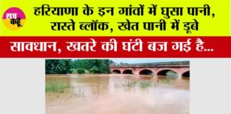 Haryana Flood News