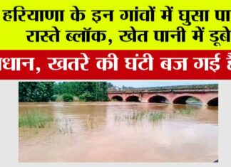 Haryana Flood News