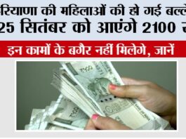 Haryana Government Scheme