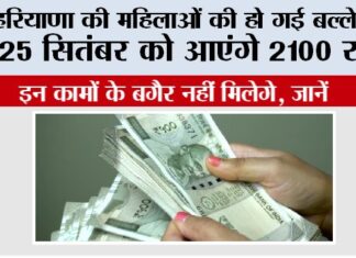 Haryana Government Scheme