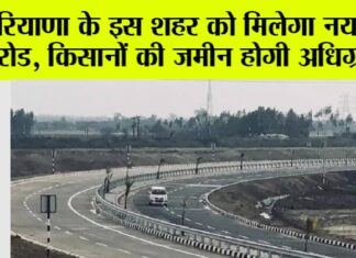 Haryana News
