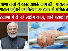 Haryana News