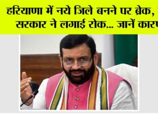 Haryana News