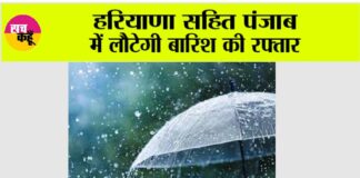 Haryana Punjab Weather
