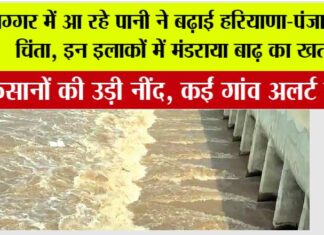 Haryana-Punjab flood