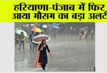 Haryana Rainfall Alert