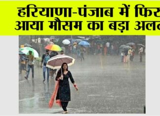 Haryana Rainfall Alert