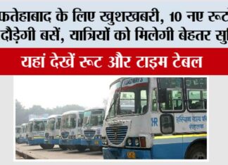 Haryana Roadways News: फतेहाबाद के लिए खुशखबरी, 10 नए रूटों पर दौड़ेगी बसें, यात्रियों को मिलेगी बेहतर सुविधा, यहां देखें रूट और टाइम टेबल Haryana Roadways News