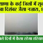 Haryana Weather