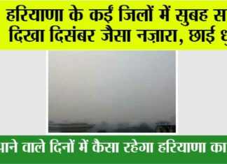Haryana Weather: हरियाणा के इन जिलों में सुबह सवेरे दिखा दिसंबर जैसा नजारा, छाई धुंध Haryana Weather