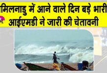 Tamil Nadu Cyclone News