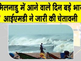 Tamil Nadu Cyclone News