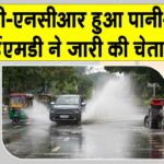 Delhi NCR Weather
