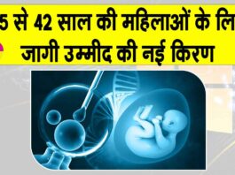 IVF News