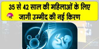 IVF News