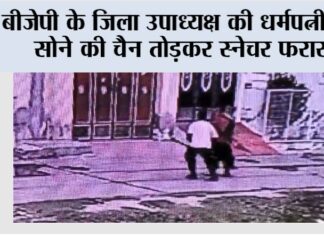 बीजेपी के जिला उपाध्यक्ष की धर्मपत्नी की सोने की चैन तोड़कर स्नेचर फरार Jind