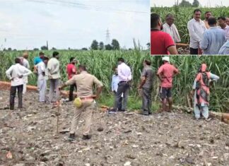 एनएचएआई की जमीन पर कब्जा करके खड़ी कर दी दीवार Kairana News