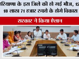 Kaithal News