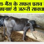 Kisan News