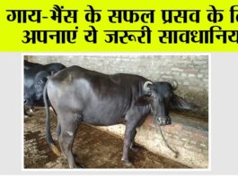 Kisan News