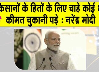 Narendra Modi News