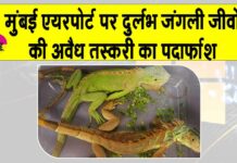 Mumbai News