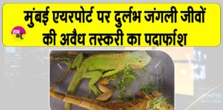 Mumbai News