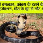 Muzaffarnagar News