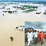 Nangal News