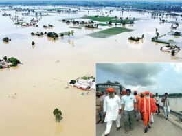 Nangal News