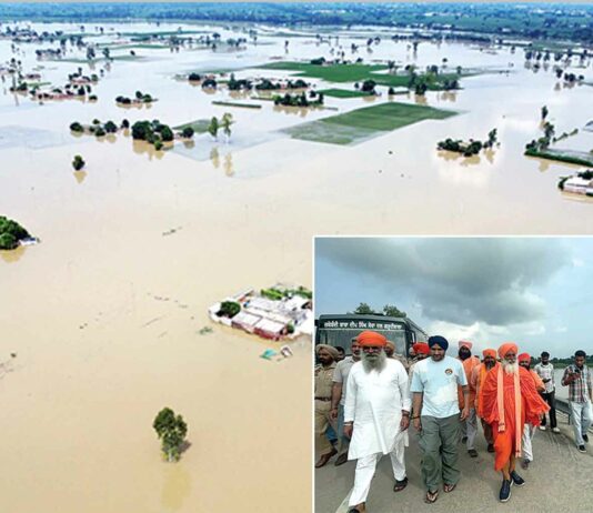 Nangal News