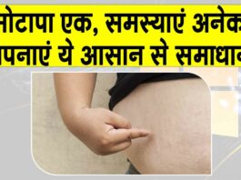 Obesity treatment in Ayurveda