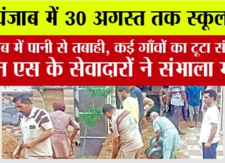 Punjab News: पंजाब में पानी से तबाही, कई गाँवों का टूटा संपर्क, ग्रीन एस के सेवादारों ने संभाला मोर्चा Punjab News