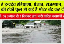 Rain Alert
