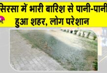 Sirsa Rain News