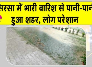 Sirsa Rain News