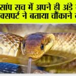 Snake News